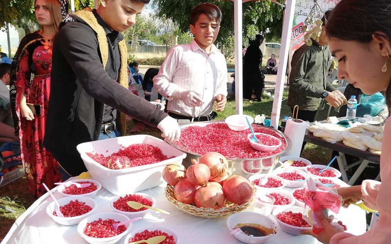 2-10 انطلاق مهرجان الرمان الـ11 في حلبجة.. احتفال بالإنتاج المحلي والهوية الثقافية