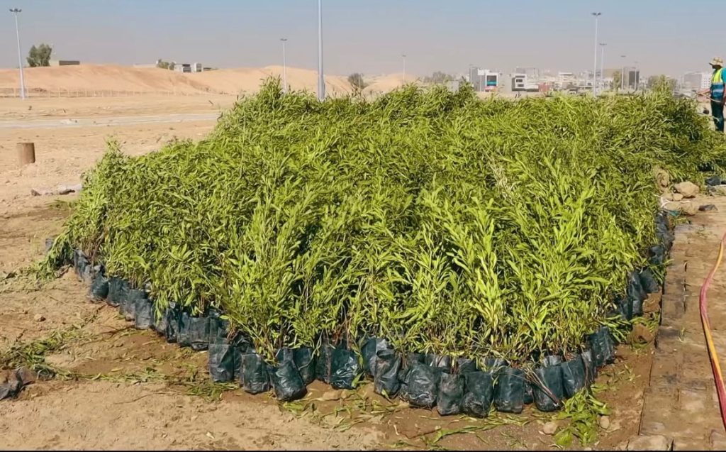 3-3-1024x637 تواصل أعمال إنشاء متنزه باب شمس في الموصل