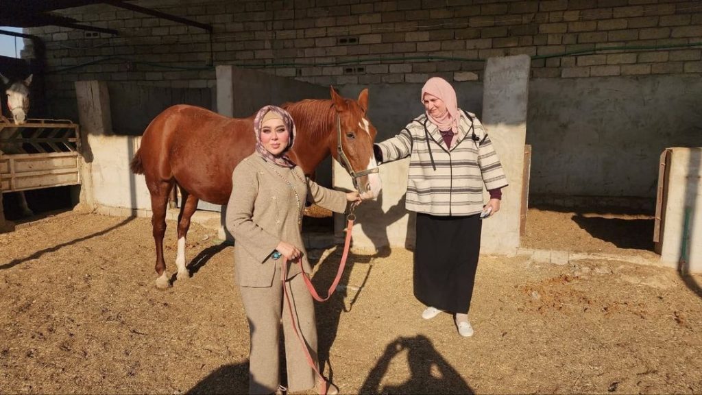 33-1-1024x576 نينوى تبدأ تسجيل الخيول والمواليد الحديثة لتعزيز قطاع الفروسية