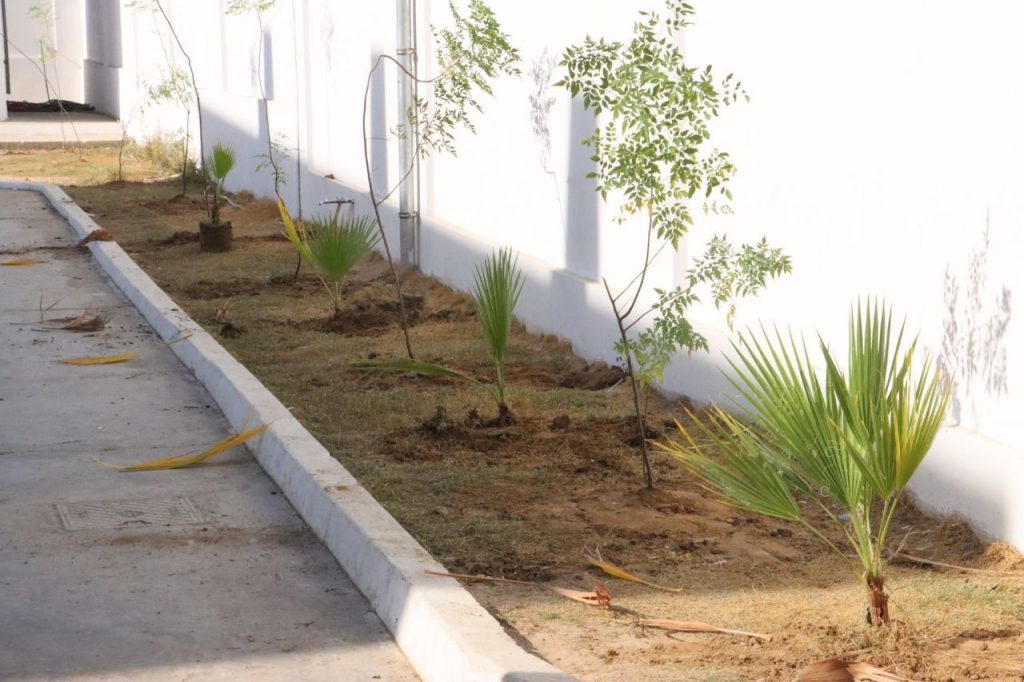 4-1024x682 تربية نينوى تطلق حملة لتشجير المدارس ضمن مبادرة رئيس الوزراء