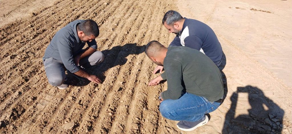 5-2-1024x472 مديرية زراعة نينوى تُطلق الزراعة الحافظة في النمرود لدعم المزارعين والتكيُّف مع المناخ