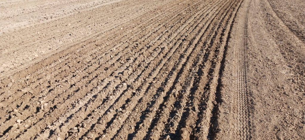 6-1-1024x472 مديرية زراعة نينوى تُطلق الزراعة الحافظة في النمرود لدعم المزارعين والتكيُّف مع المناخ