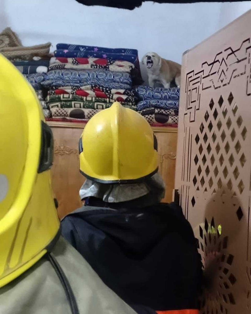 image-32-819x1024 إصابة مواطن في كربلاء بعد اقتحام كلب مسعور منزله والدفاع المدني يتدخل