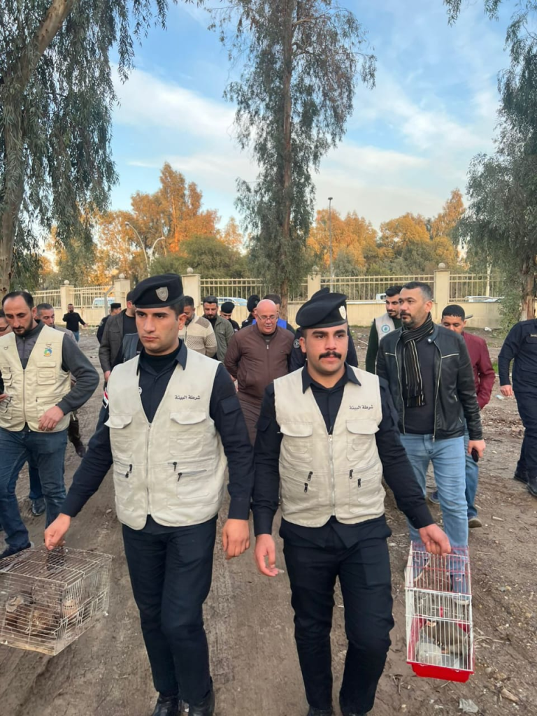 image-42-768x1024 بعد استحصال الموافقات القضائية.. ضبط ومصادرة طيور مهددة بالإنقراض في سوق الموصل