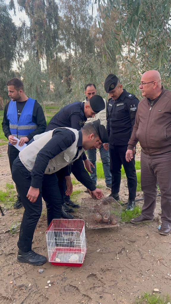 image-43-576x1024 بعد استحصال الموافقات القضائية.. ضبط ومصادرة طيور مهددة بالإنقراض في سوق الموصل