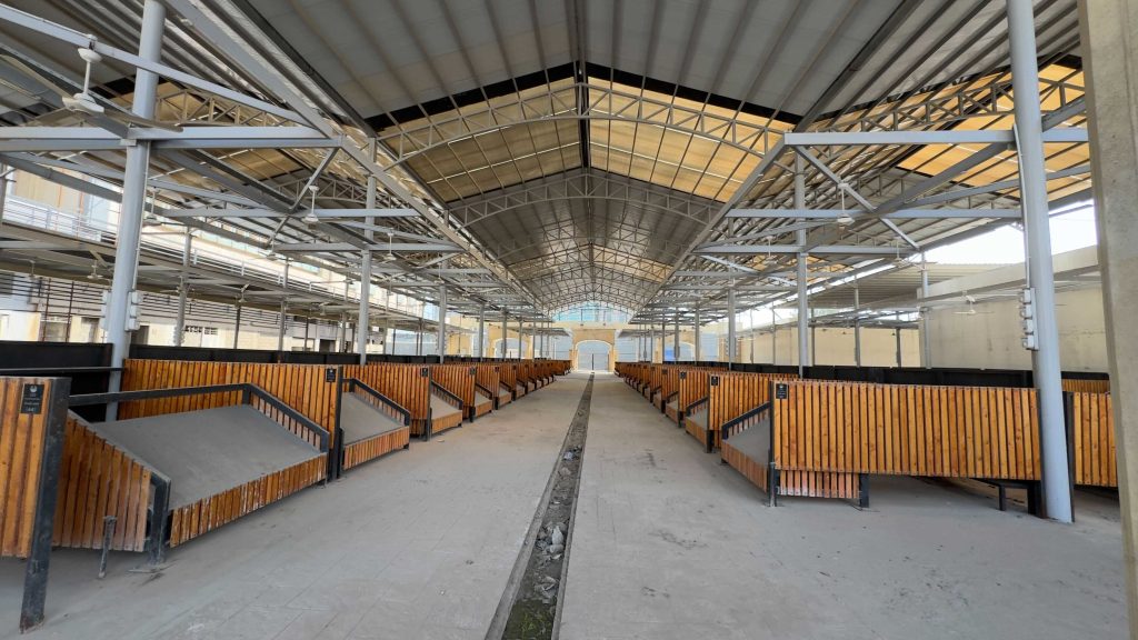 2سوق-حضار-1024x576 3000 متر مربع بلا حياة.. سوق الخضروات في باب الطوب بين الفشل والأمل الأخير