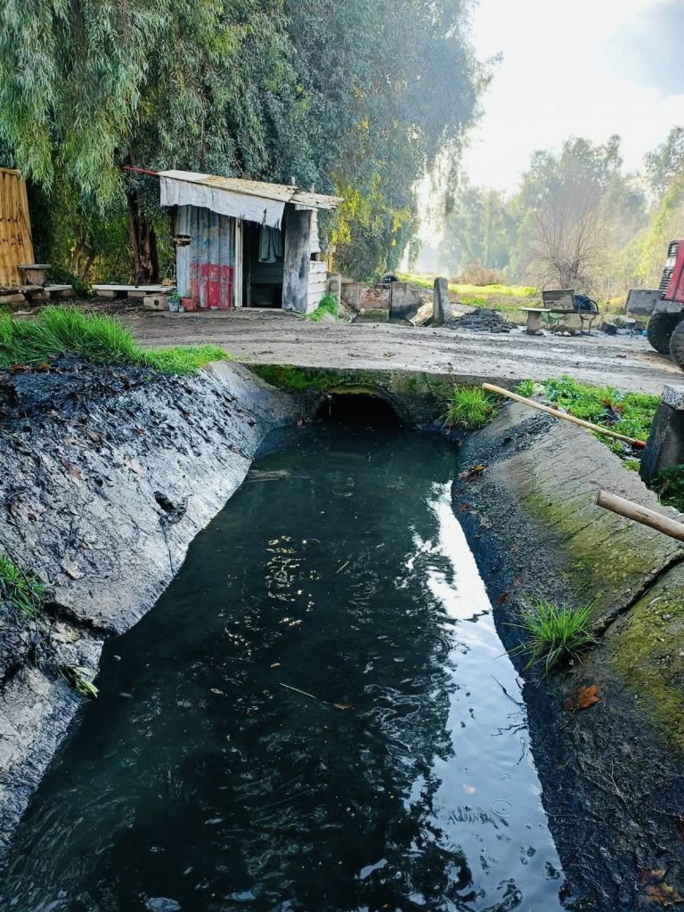 2-1-768x1024 بلدية الموصل تعلن خطتها لتأهيل الغابات وتوسيع المساحات الخضراء في المدينة