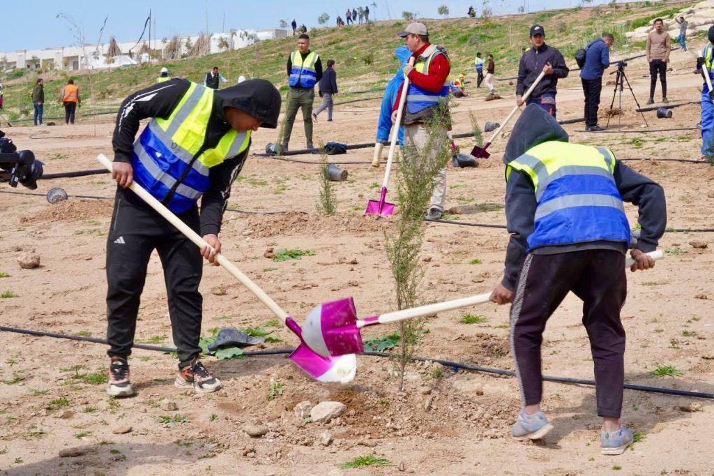 1-1-1024x682 لأول مرة منذ العهد الملكي.. انطلاق مشروع زراعة "أول غابة" في الجانب الأيمن للموصل