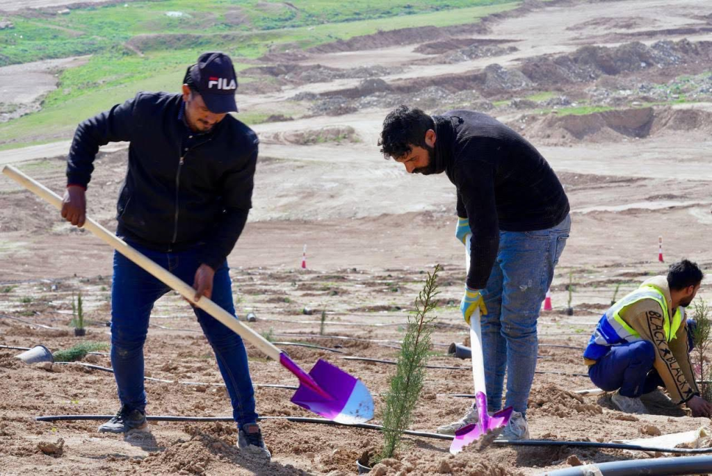 image-40-1024x685 لأول مرة منذ العهد الملكي.. انطلاق مشروع زراعة "أول غابة" في الجانب الأيمن للموصل