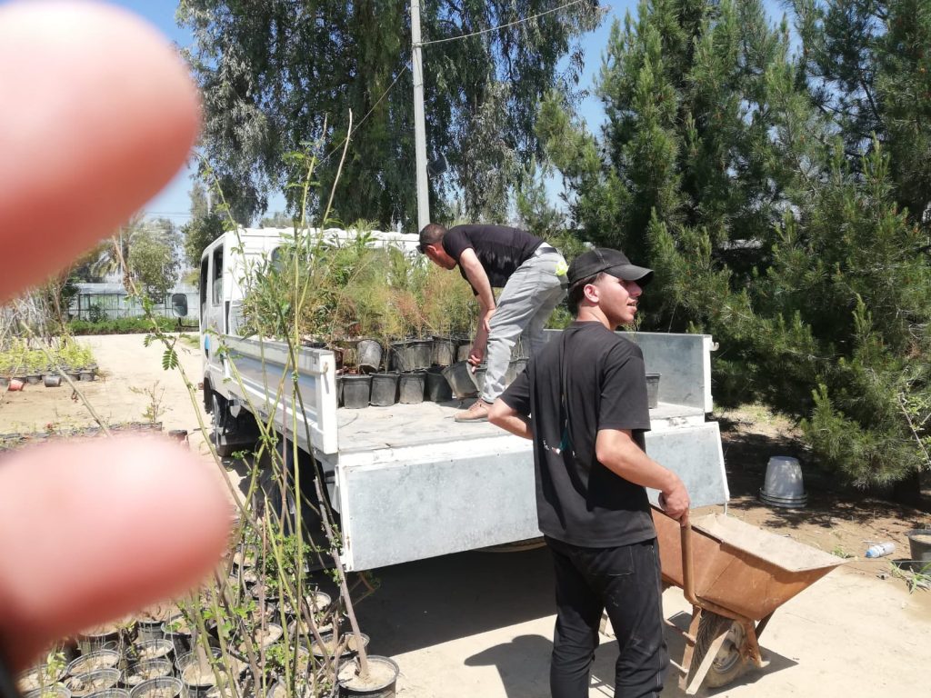 1-13-1024x768 حملة تشجير واسعة في الموصل.. توزيع آلاف الشتلات لتعزيز الغطاء النباتي