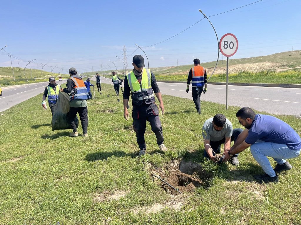 1-14-1024x768 بروح التكامل.. 400 شجرة نبك تعيد الرداء الأخضر لشارع بغداد في الموصل