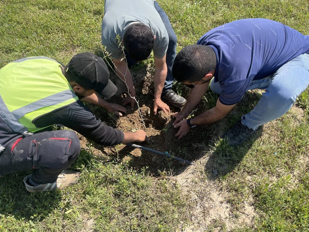 2-10-1024x768 بروح التكامل.. 400 شجرة نبك تعيد الرداء الأخضر لشارع بغداد في الموصل