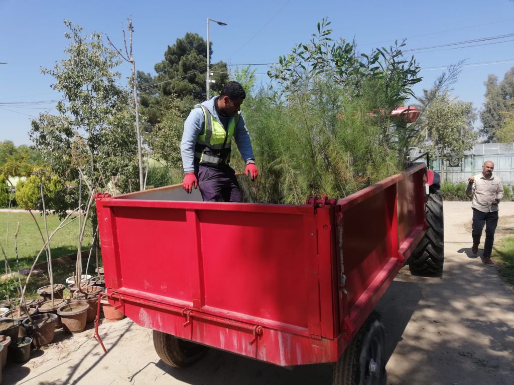 2-9-1024x768 حملة تشجير واسعة في الموصل.. توزيع آلاف الشتلات لتعزيز الغطاء النباتي