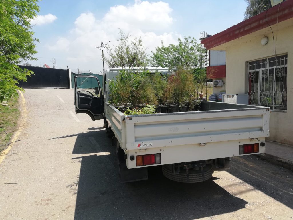 3-6-1024x768 حملة تشجير واسعة في الموصل.. توزيع آلاف الشتلات لتعزيز الغطاء النباتي