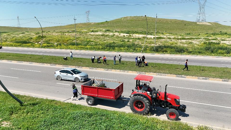 3-7 بروح التكامل.. 400 شجرة نبك تعيد الرداء الأخضر لشارع بغداد في الموصل