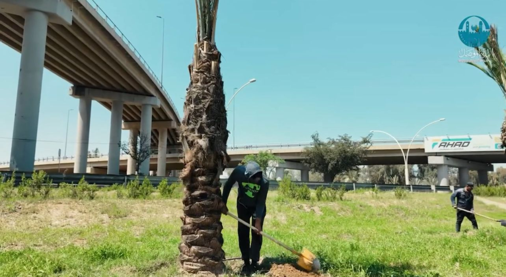 image-76-1024x561  بمساحة 52 دونمًا بلدية الموصل تحول مقتربات الجسر الخامس إلى رئة خضراء