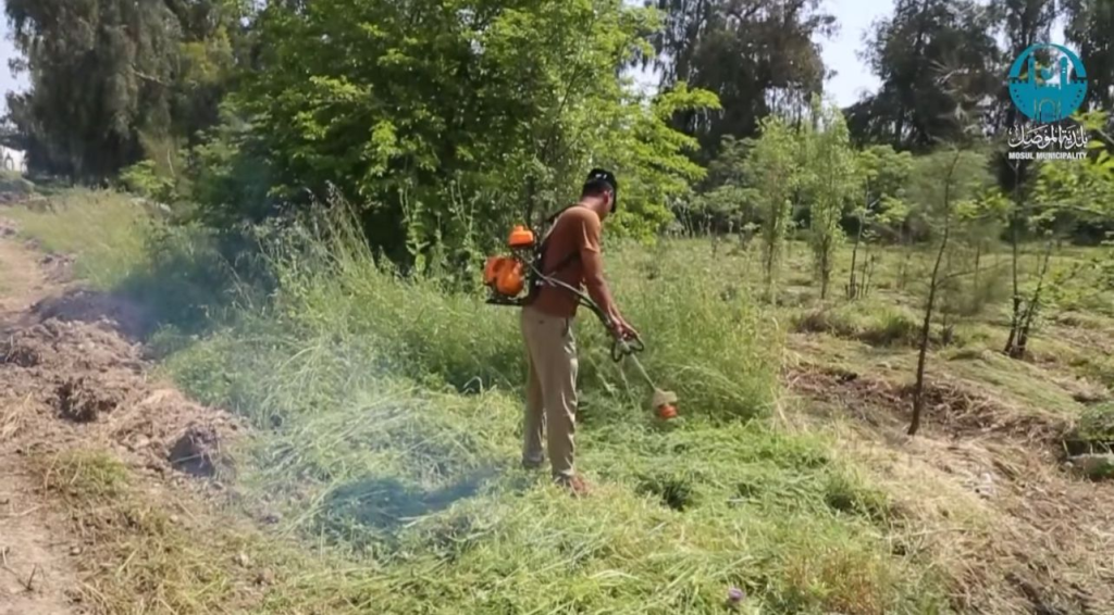 image-95-1024x566 صيانة "رئة الموصل".. حملة بلدية مكثفة لتنظيف وتأهيل الغابة الشمالية