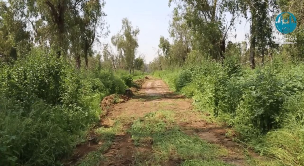 image-96-1024x561 صيانة "رئة الموصل".. حملة بلدية مكثفة لتنظيف وتأهيل الغابة الشمالية