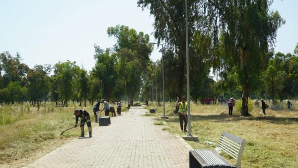 هل تنقل الغابة الجنوبية في الموصل حشرة الأرضة للمنازل؟