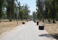 بشرى للعائلات الموصلية خلال عيد الأضحى