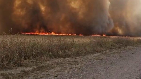 اندلاع 3 حرائق في نينوى خلال ساعات.. فما الأسباب؟