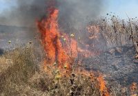 سحب الدخان تخنق الموصل وظاهرة حرق النفايات تُحوّل منازل الأهالي إلى غرف غاز