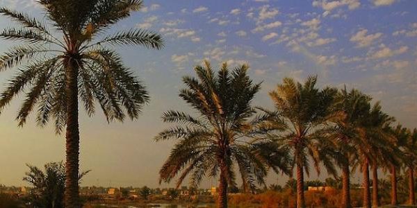 مصرع ثلاثة عمال غرقًا واختناقًا داخل محطة مجاري قيد الإنشاء شمال البصرة