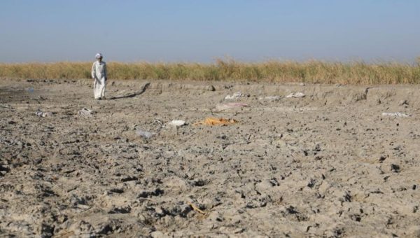 ناقوس الخطر البيئي.. التصحُّر يلتهم أكثر من نصف مساحة العراق ويقترب من السهل الرسوبي