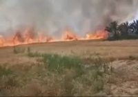 النيران تلتهم حقول الحنطة في صلاح الدين وكركوك والدفاع المدني يستنفر جهوده