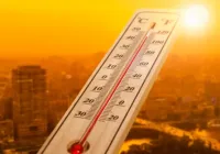 تحذيرات منظمة الصحة العالمية والتحركات الأوروبية لمواجهة موجات الحر الشديدة