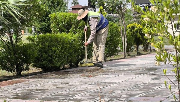 الملاكات الزراعية لقطاع الغزلاني البلدي تُكثف أعمال التأهيل والتشذيب في حديقة الشهداء