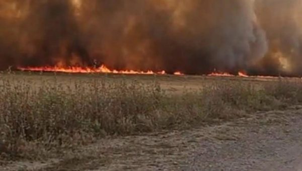 استنفار في سهل نينوى: بعشيقة تُحاصر النيران لحماية الأراضي الزراعية والممتلكات