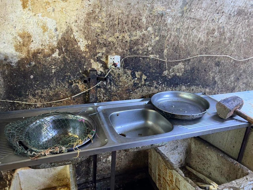 5-1024x768 الرقابة الصحية في نينوى تضبط مخالفات وتُتلف مواد منتهية الصلاحية في أسواق سمك الجانب الأيمن