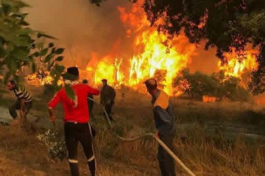 بينهم 21 فردًا من عائلة واحدة.. حصيلة مؤقتة مفجعة لضحايا الحرائق الهائلة في ولاية جيجل الجزائرية