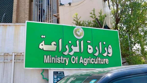 الزراعة تدمج أصنافًا جديدة بالخطة الشتوية وتترقب الإكتفاء الذاتي من الحنطة للمرة الرابعة