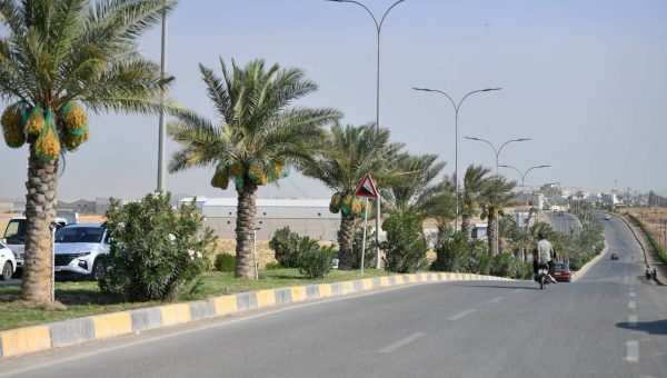 بلدية تلكيف تفتتح مهرجان التمور السنوي احتفاءً ببدء موسم الجني