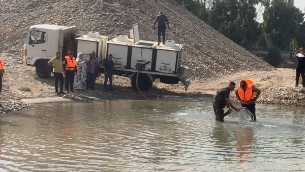 خطوة استراتيجية لإنعاش دجلة.. زراعة نينوى تطلق 400 ألف إصبعية سمكية لدعم الأسواق