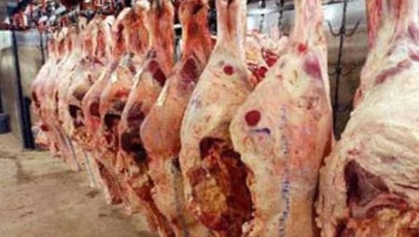 الزراعة تُلاحق الذبح العشوائي وتُفعّل المحاجر البيطرية في منافذ العراق