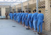 وزارة العدل تفتح باب الأمل لـ 136 حدثًا وتطلق سراحهم خلال أيلول