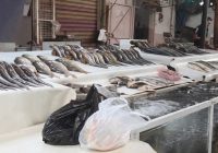 جدل التلوث والشائعات يُصيب سوق السمك بالموصل القديمة بالركود ويُربك الكسبة
