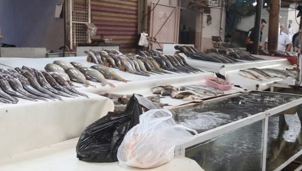 جدل التلوث والشائعات يُصيب سوق السمك بالموصل القديمة بالركود ويُربك الكسبة