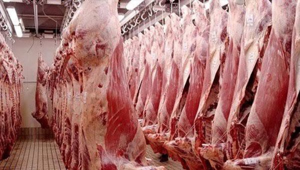 حملات بيطرية مكثفة لحماية المستهلك والحد من الذبح العشوائي في العراق